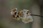 Dcim6789/DSC_8362