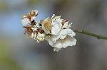Dcim6789/DSC_8364