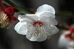 Dcim6789/DSC_8367