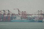 Dcim6790/DSC_8433