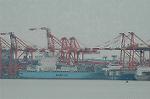 Dcim6790/DSC_8443