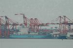 Dcim6790/DSC_8444