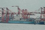 Dcim6790/DSC_8474