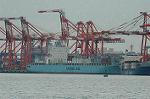 Dcim6790/DSC_8479