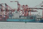 Dcim6790/DSC_8481