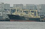 Dcim6790/DSC_8532