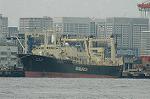 Dcim6790/DSC_8534