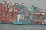 Dcim6791/DSC_8545