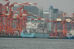 Dcim6791/DSC_8546