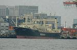 Dcim6791/DSC_8549