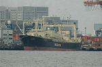 Dcim6791/DSC_8550