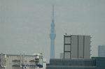 Dcim6791/DSC_8555