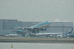 Dcim6791/DSC_8565