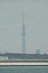 Dcim6791/DSC_8593