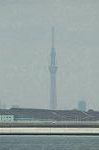 Dcim6791/DSC_8595
