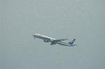 Dcim6791/DSC_8619