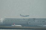 Dcim6791/DSC_8642