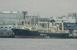 Dcim6792/DSC_8715
