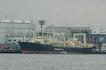 Dcim6792/DSC_8717