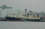 Dcim6792/DSC_8736