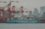 Dcim6792/DSC_8746