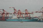 Dcim6792/DSC_8770