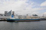 Dcim6793/DSC_2139