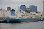 Dcim6793/DSC_2147