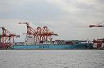 Dcim6794/DSC_2220