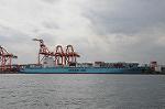 Dcim6794/DSC_2231