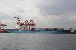 Dcim6794/DSC_2232