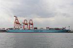 Dcim6794/DSC_2234