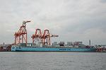 Dcim6794/DSC_2241