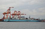 Dcim6794/DSC_2245
