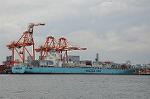 Dcim6794/DSC_2246