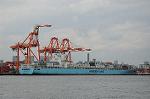 Dcim6794/DSC_2250
