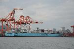 Dcim6794/DSC_2251