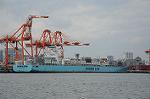 Dcim6794/DSC_2252