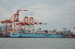 Dcim6794/DSC_2253