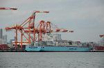 Dcim6794/DSC_2260