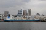 Dcim6796/DSC_2378