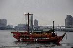 Dcim6796/DSC_2413