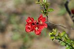 Dcim6797/DSC_8820