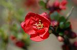 Dcim6797/DSC_8823