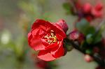Dcim6797/DSC_8825