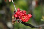Dcim6797/DSC_8827