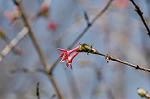 Dcim6797/DSC_8867