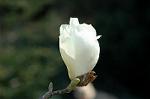 Dcim6797/DSC_8878