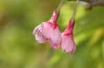 Dcim6797/DSC_8913