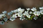 Dcim6797/DSC_8927